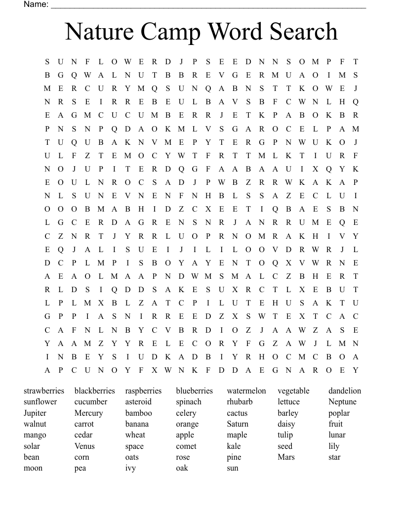Nature Camp Word Search