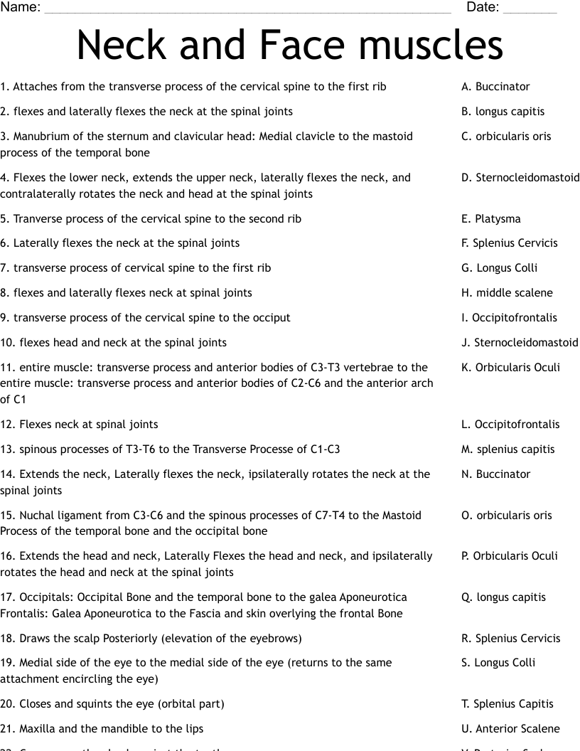 Neck and Face muscles Worksheet