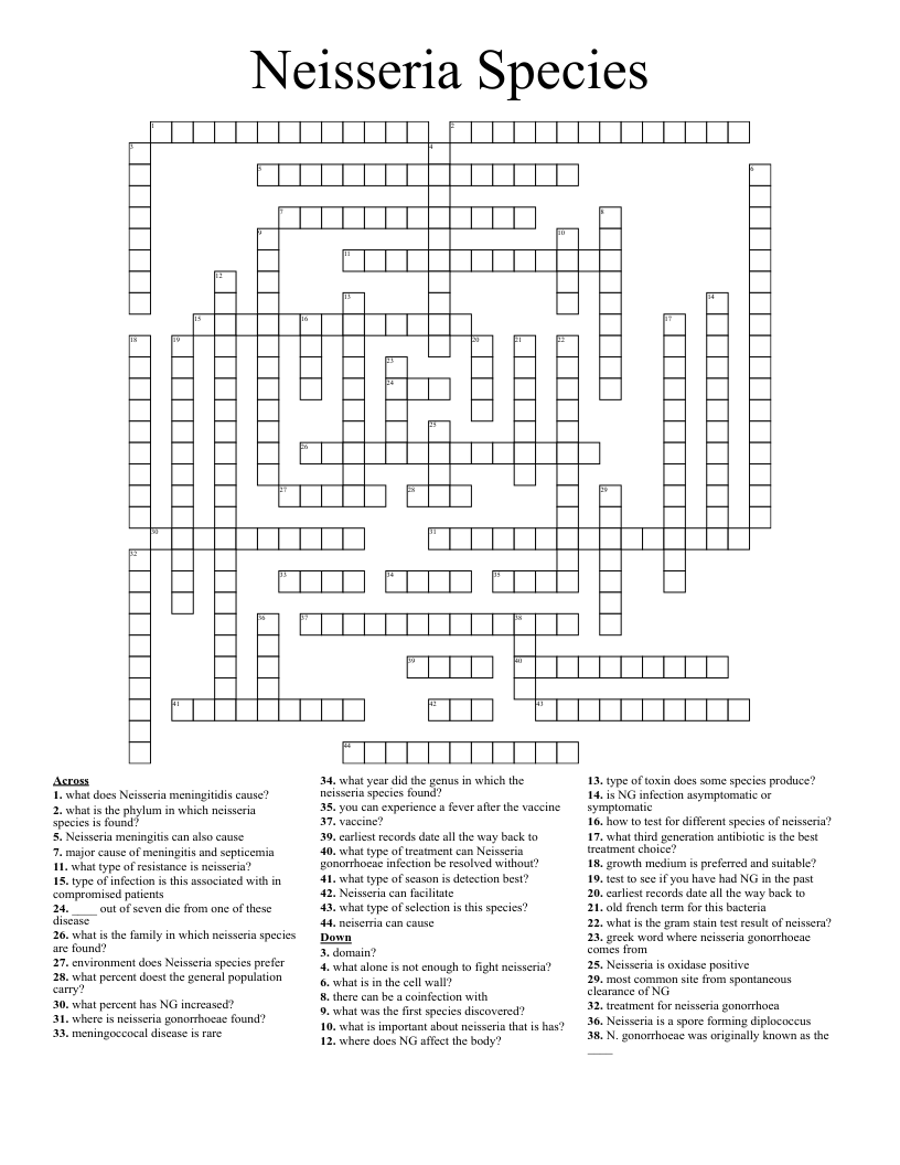 Neisseria Species Crossword