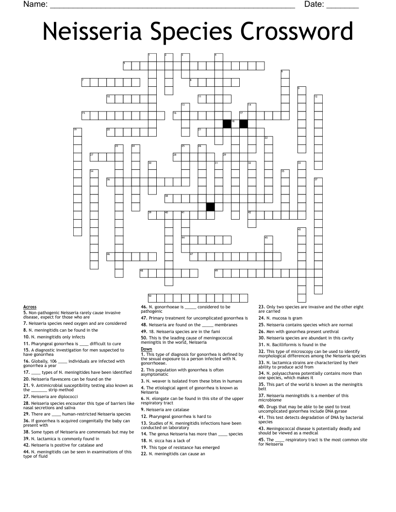 Neisseria Species Crossword