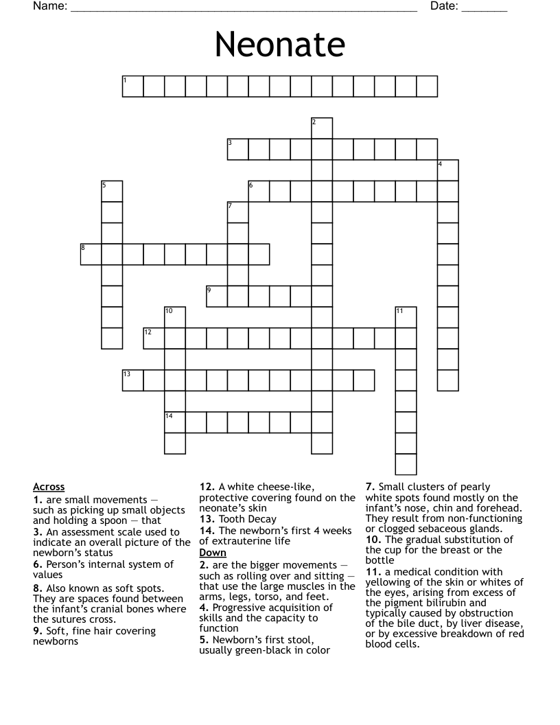 Neonate Crossword