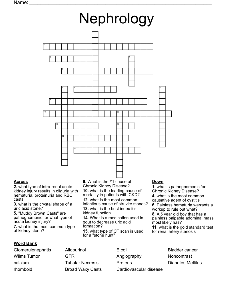 Nephrology  Crossword
