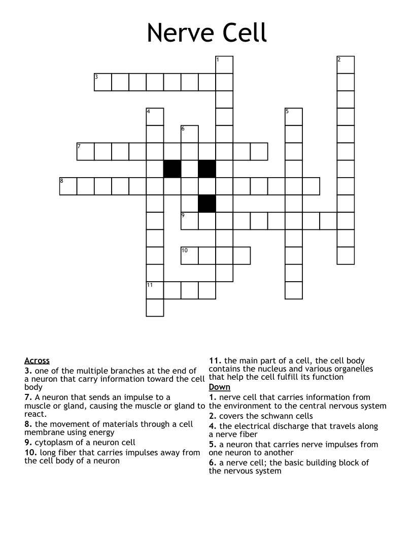Nerve Cell Crossword