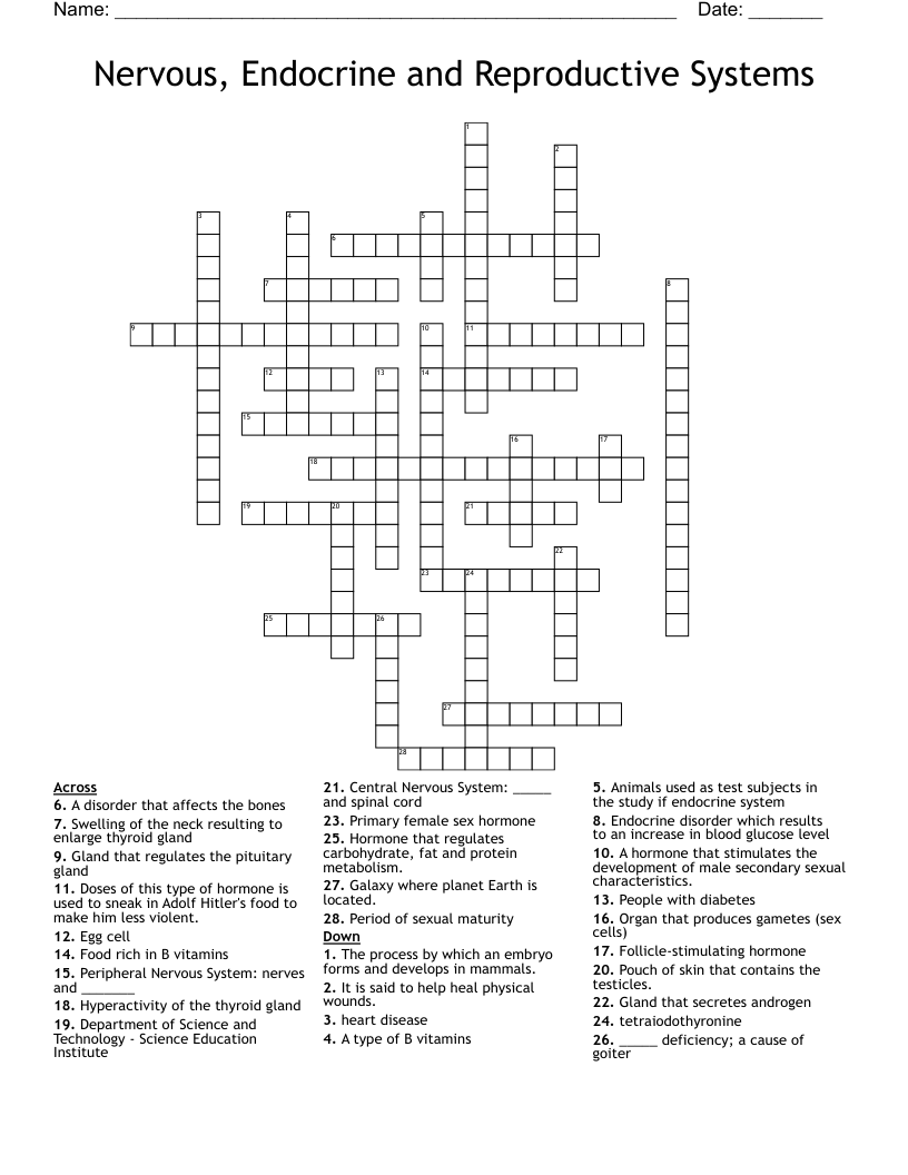 Nervous, Endocrine and Reproductive Systems Crossword