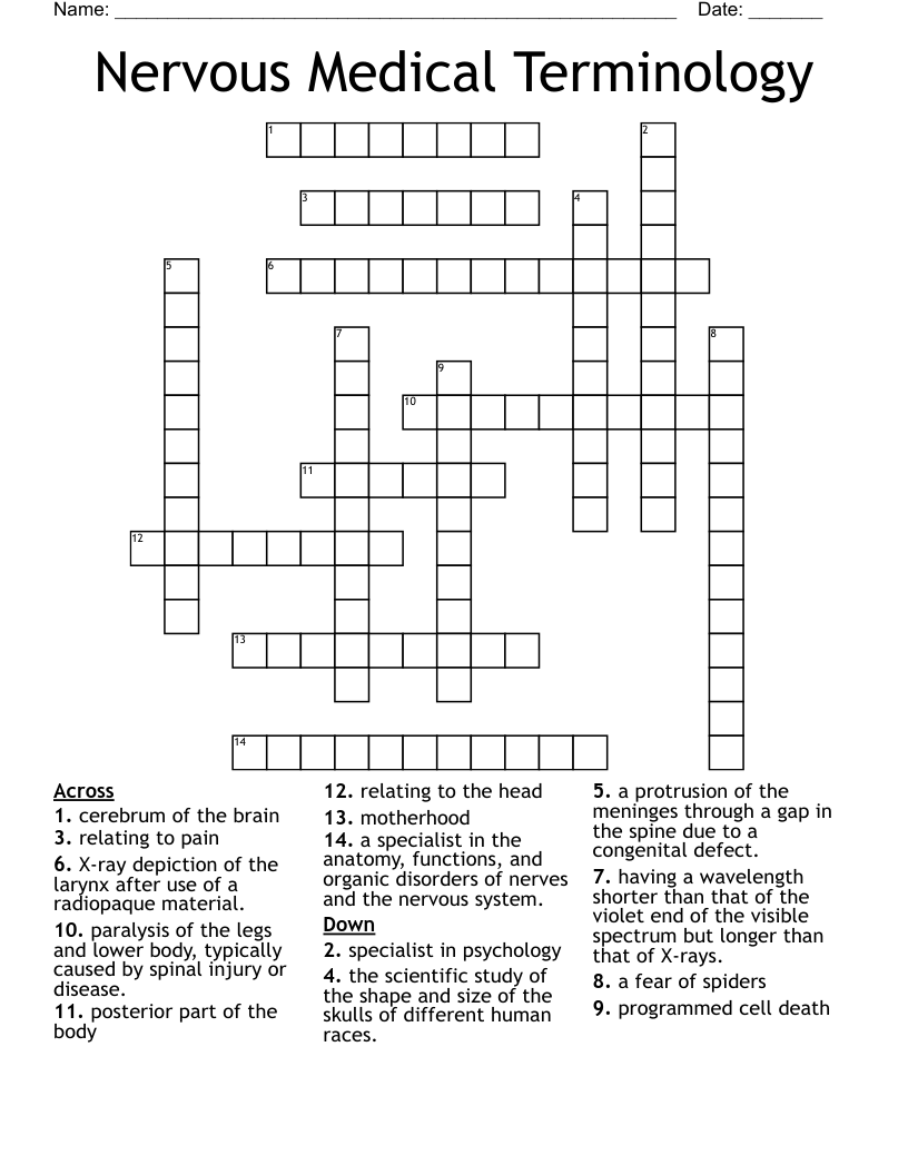 Nervous Medical Terminology Crossword