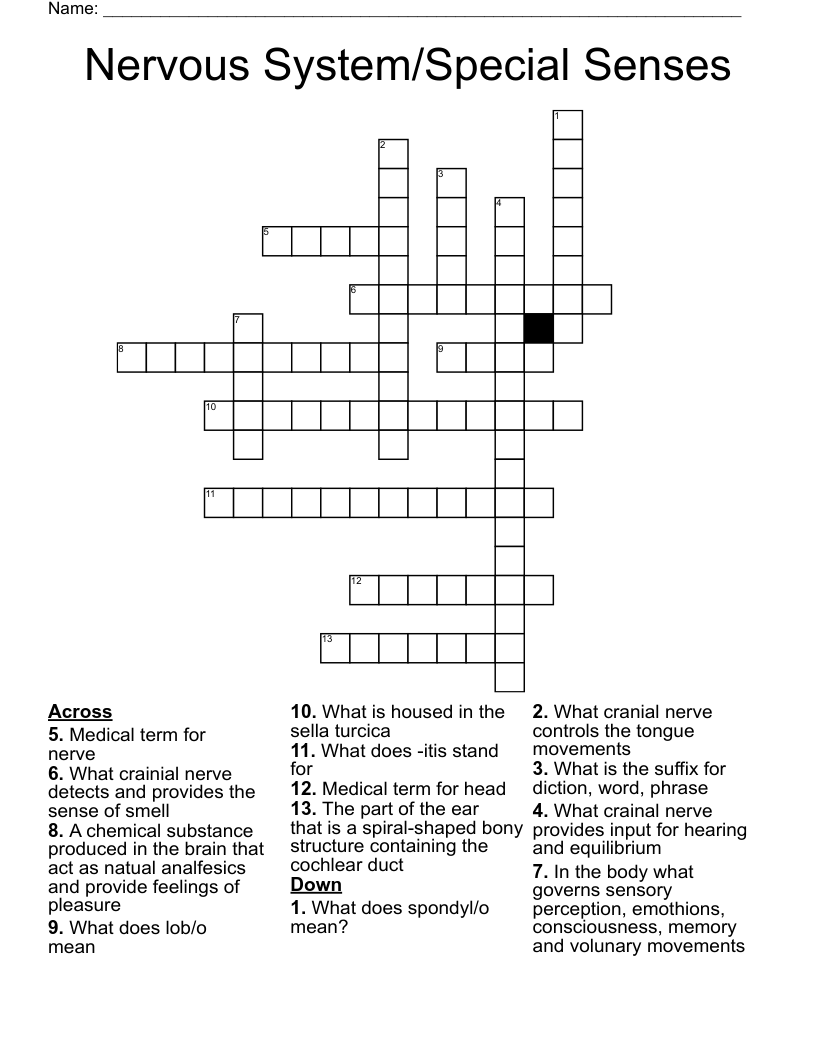 Nervous System/Special Senses Crossword