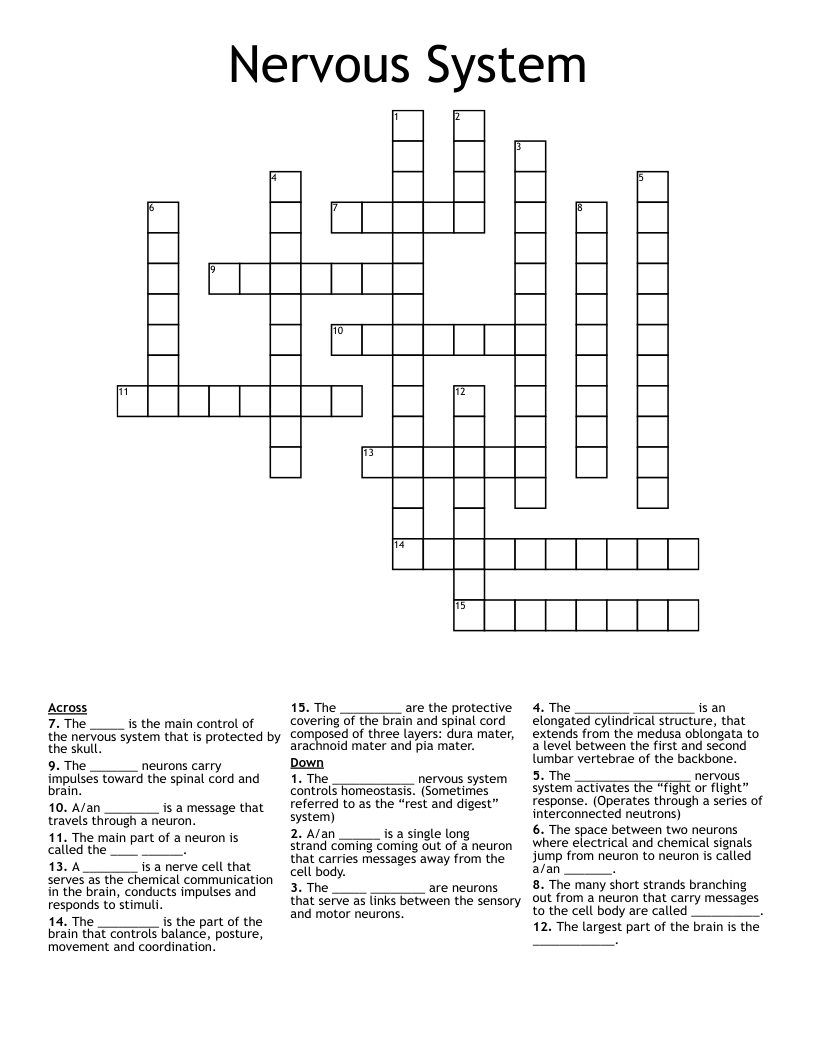 Nervous System Crossword