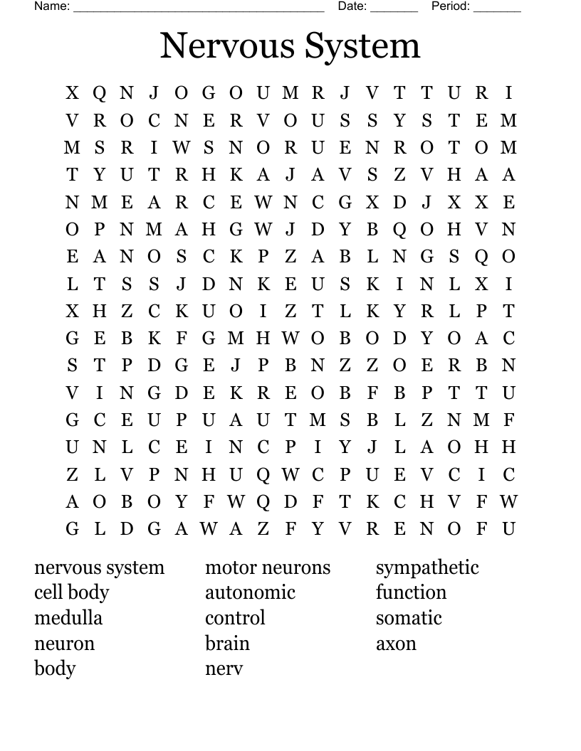 Nervous System Word Search