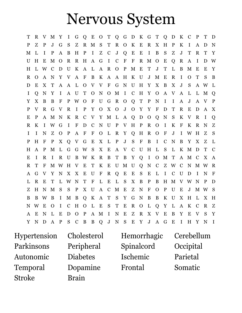 Nervous System Word Search