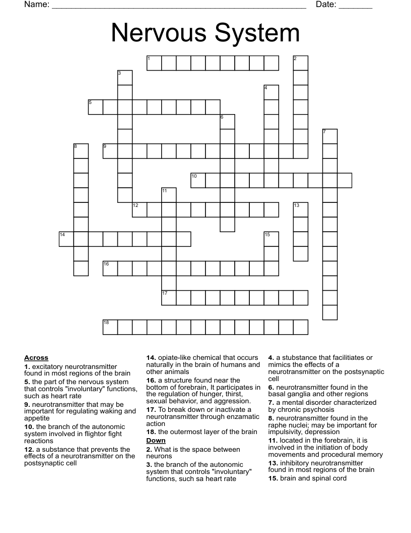 Nervous System Crossword