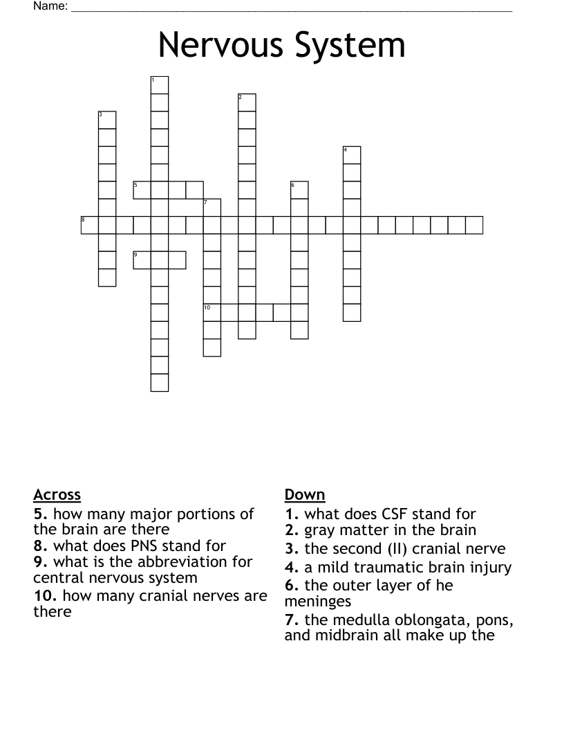 Nervous System Crossword