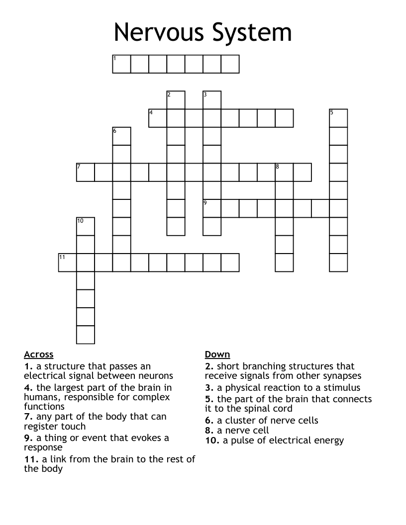 Nervous System Crossword