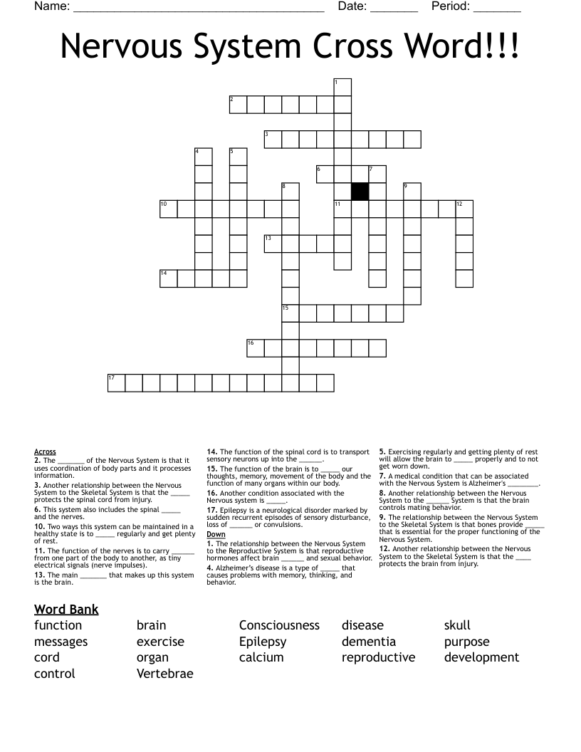 Nervous System Cross Word!!!