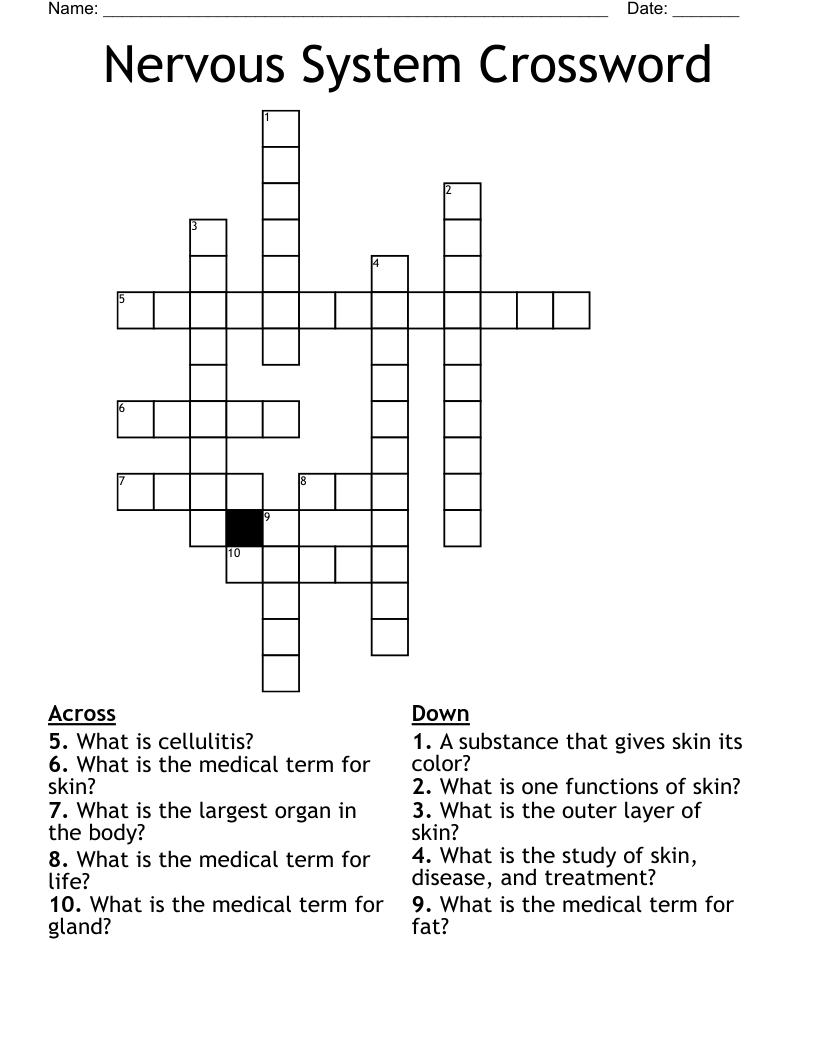 Nervous System Crossword