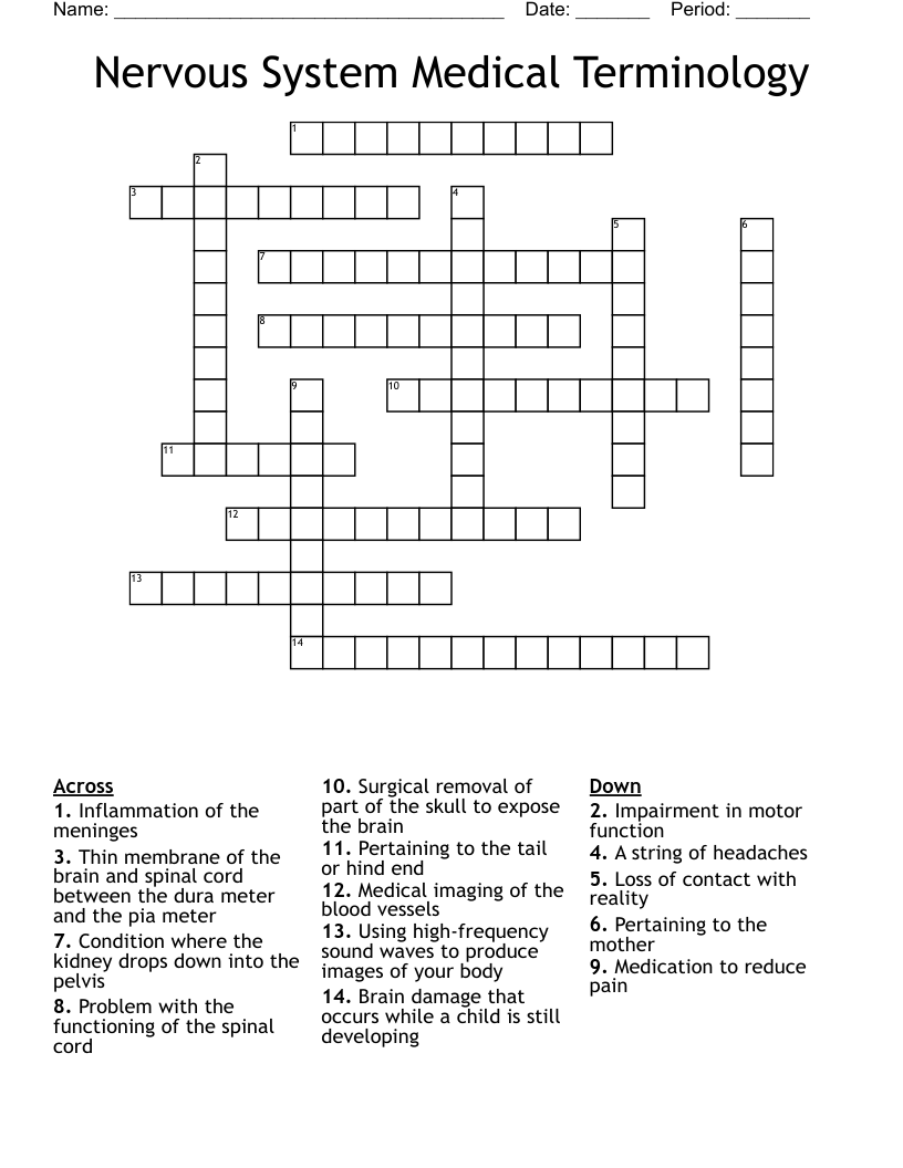 Nervous System Medical Terminology Crossword
