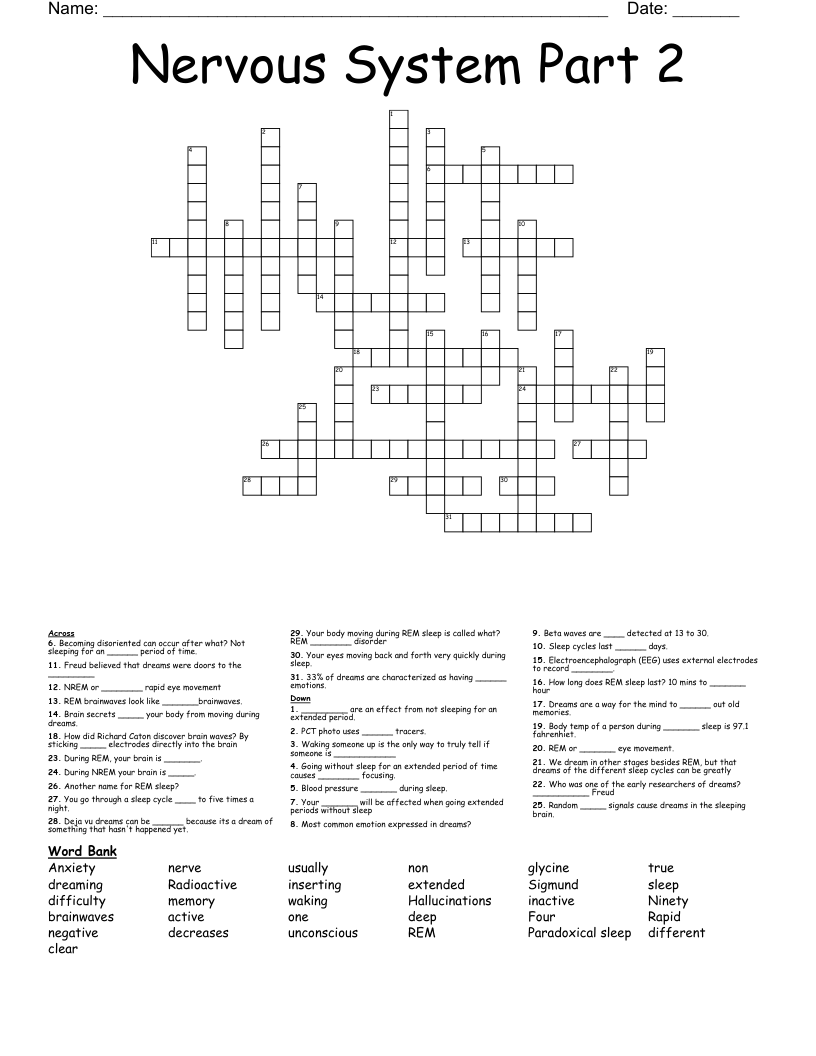 Nervous System Part 2 Crossword