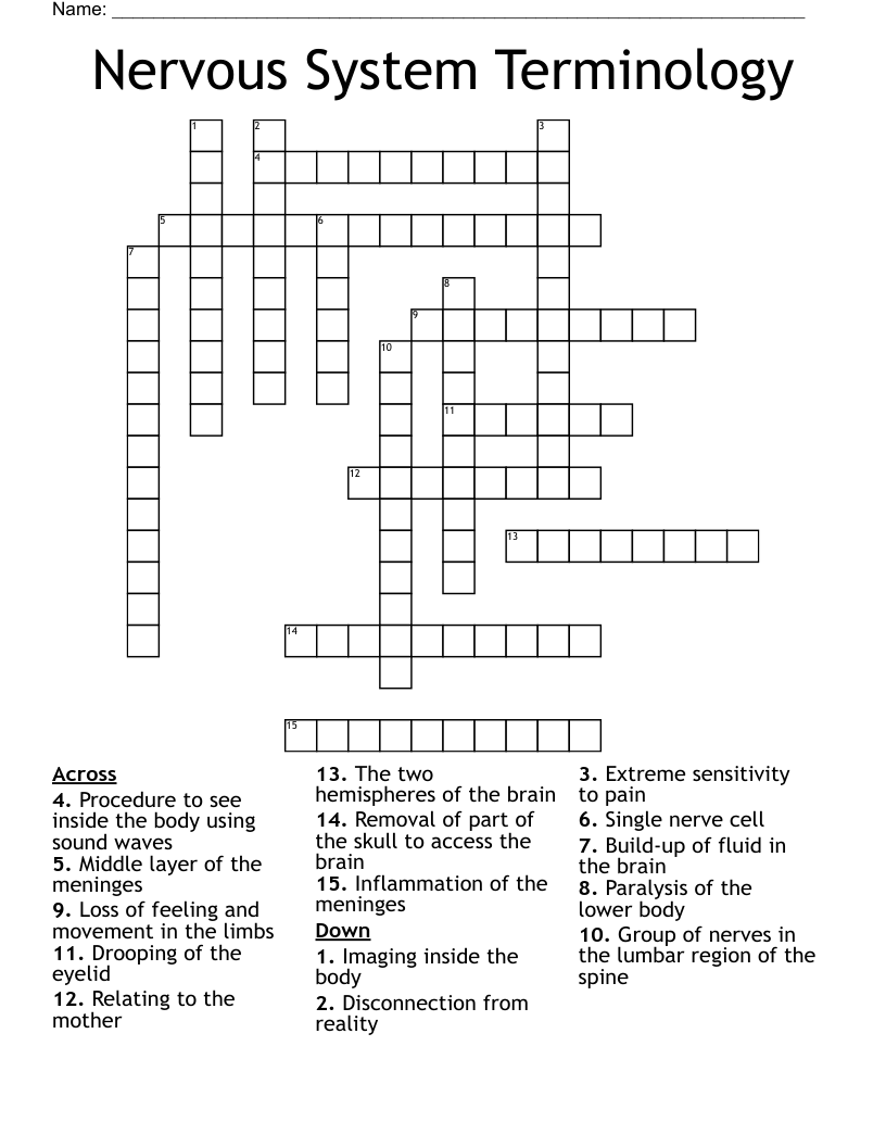 Nervous System Terminology Crossword