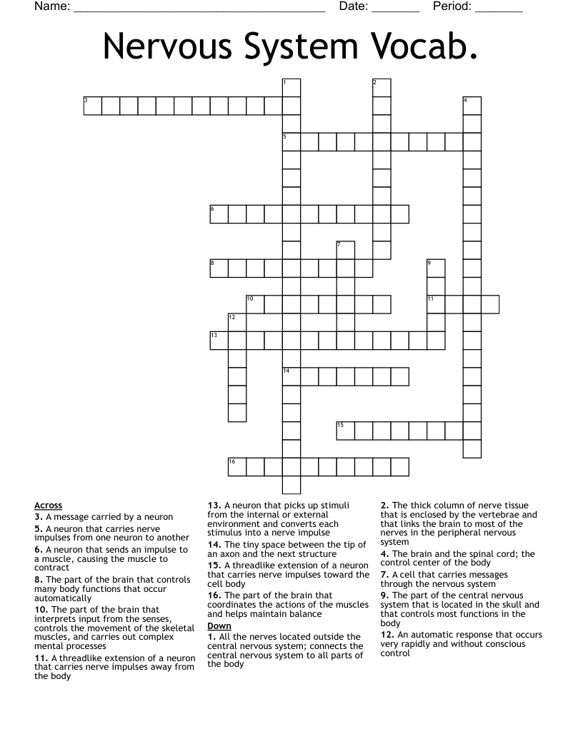 Nervous System Vocab. Crossword