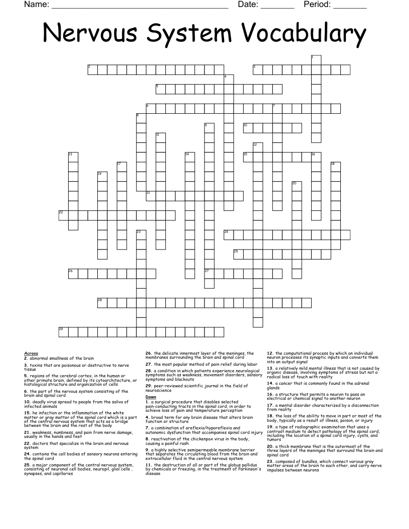 Nervous System Vocabulary Crossword