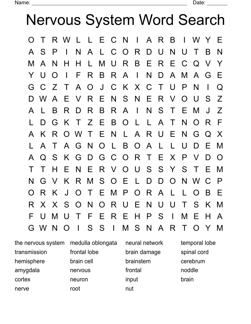 Nervous System Word Search