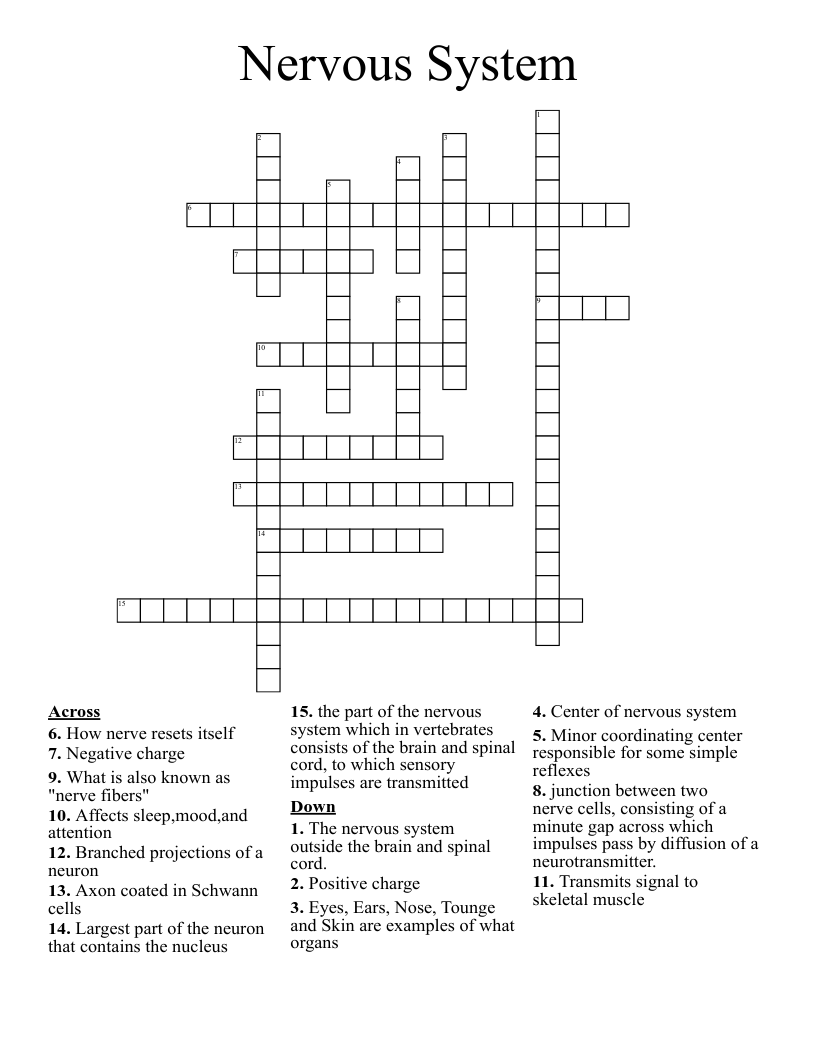 Nervous System  Crossword