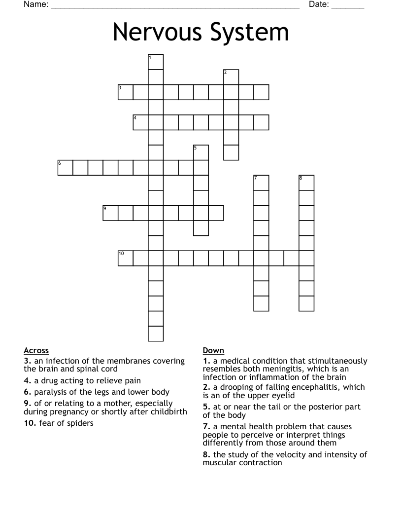 Nervous System  Crossword