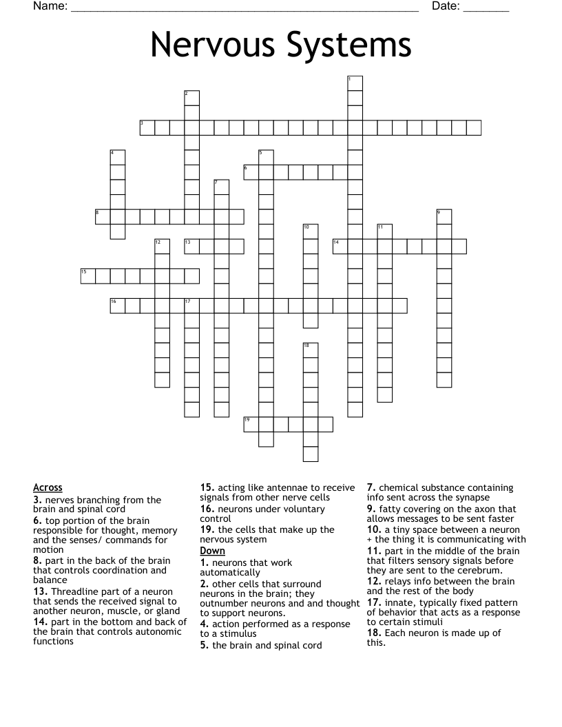 Nervous Systems Crossword