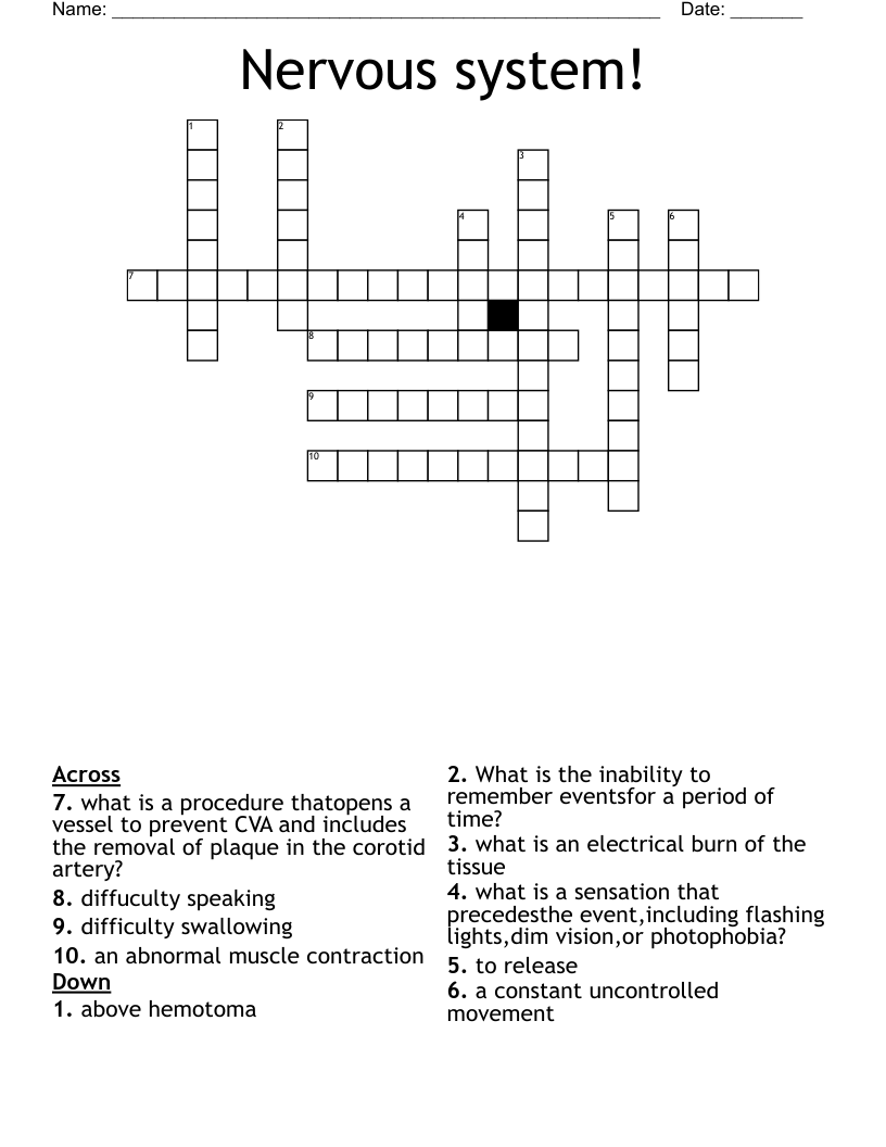 Nervous system! Crossword