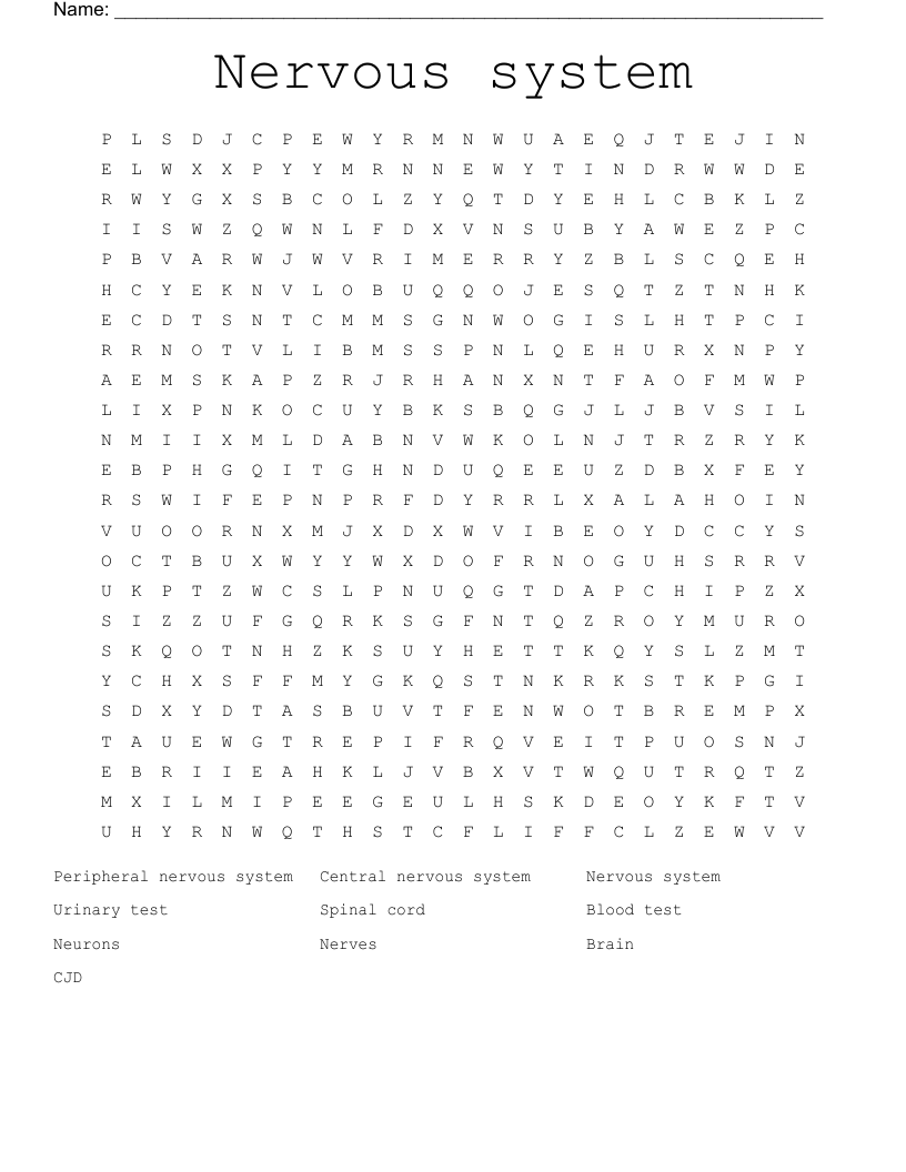 Nervous system Word Search