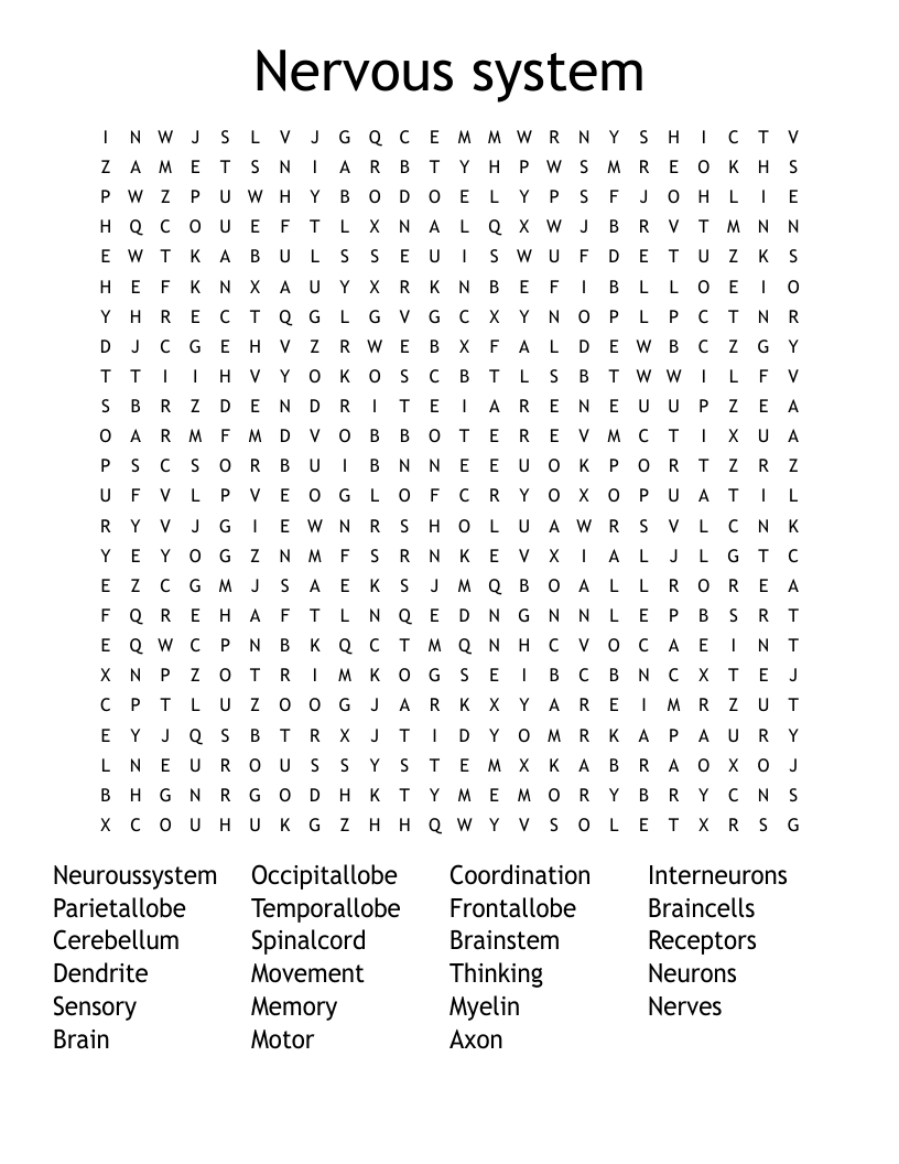 Nervous system  Word Search