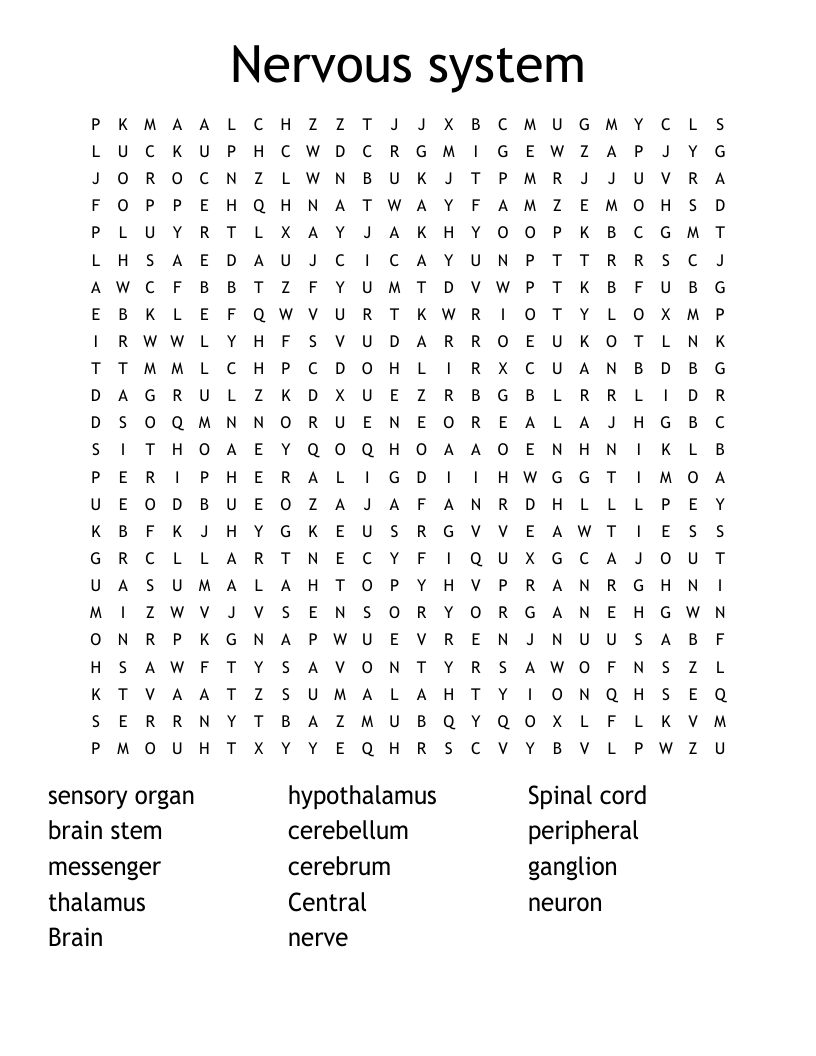 Nervous system  Word Search