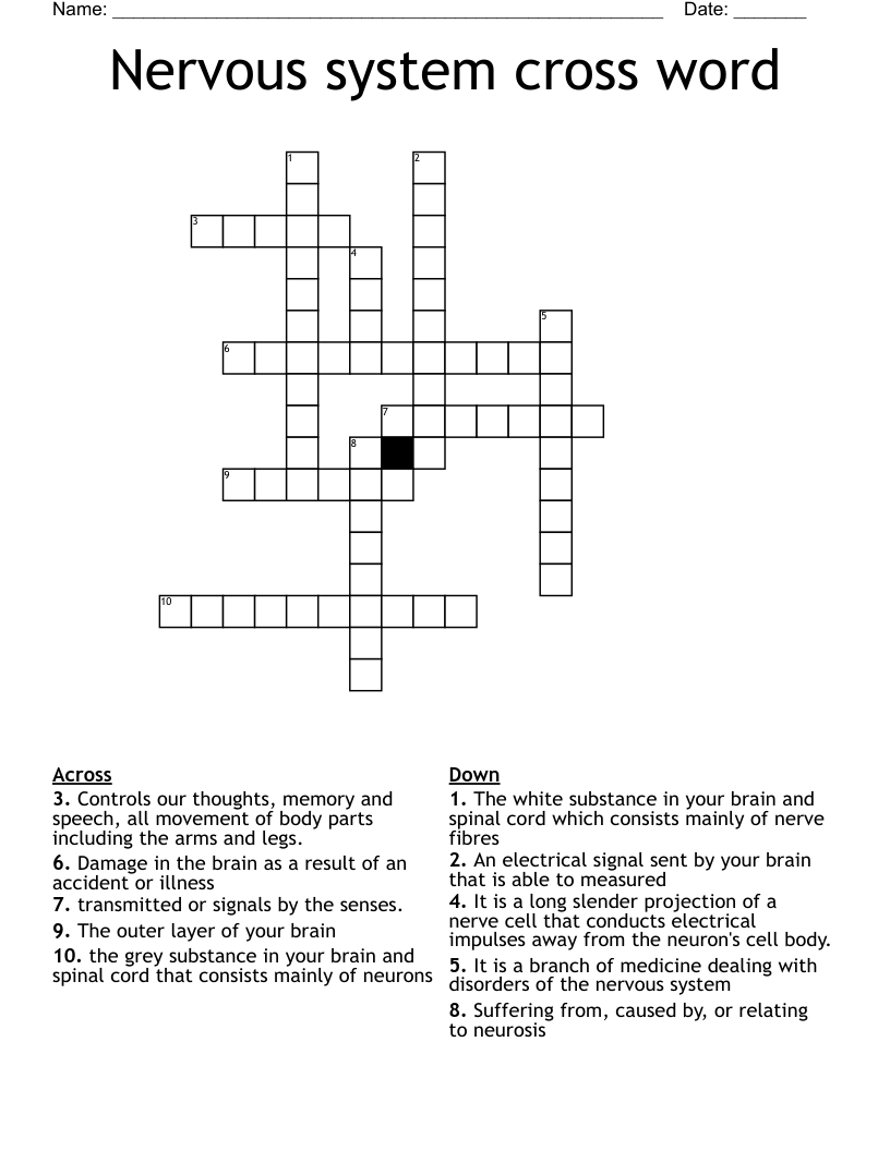 Nervous system cross word