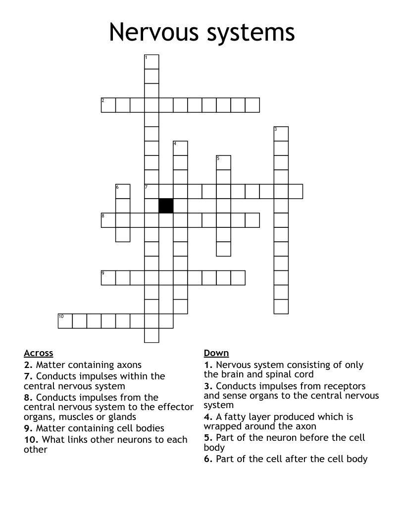 Nervous systems Crossword
