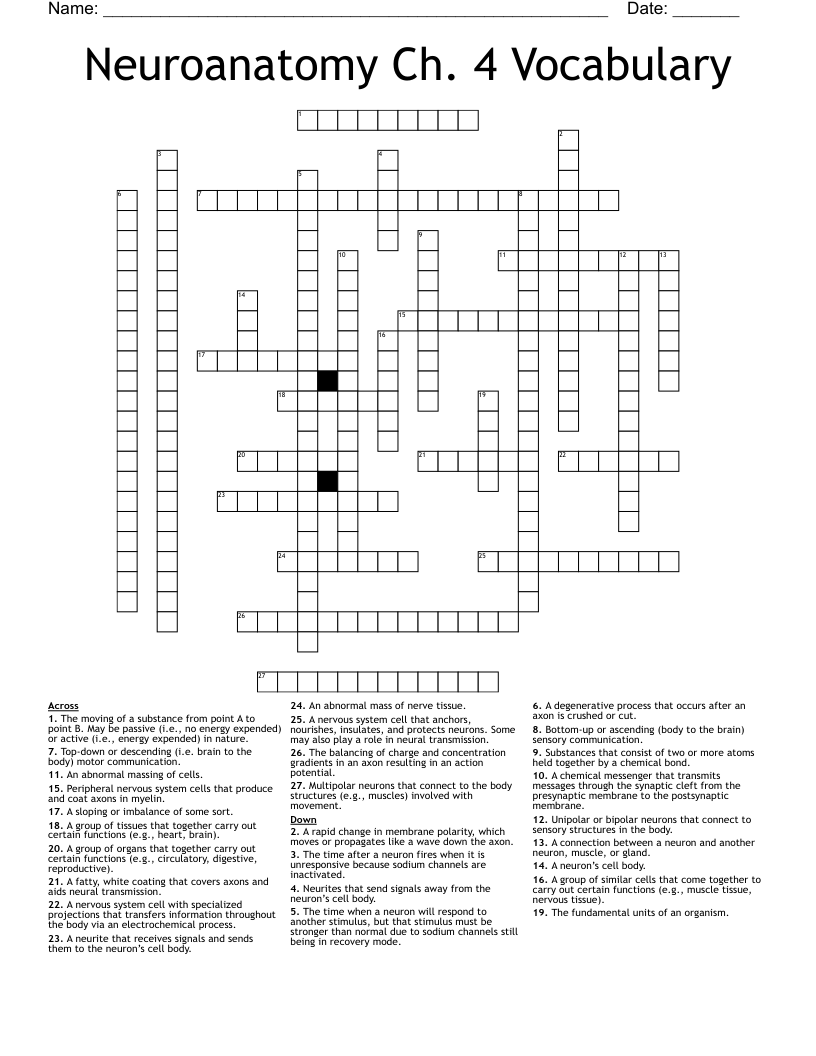 Neuroanatomy Ch. 4 Vocabulary Crossword