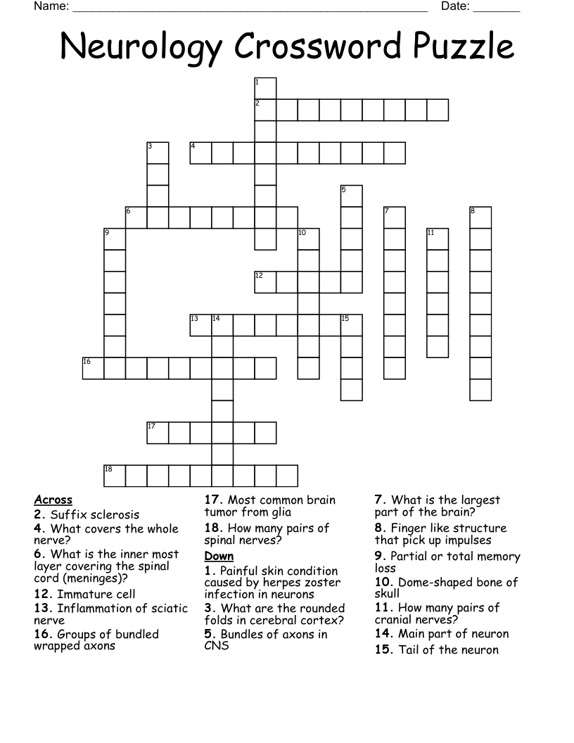 Neurology Crossword Puzzle