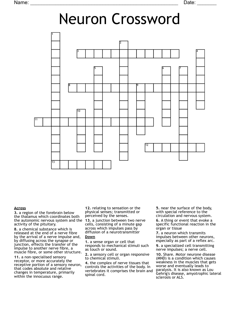 Neuron Crossword