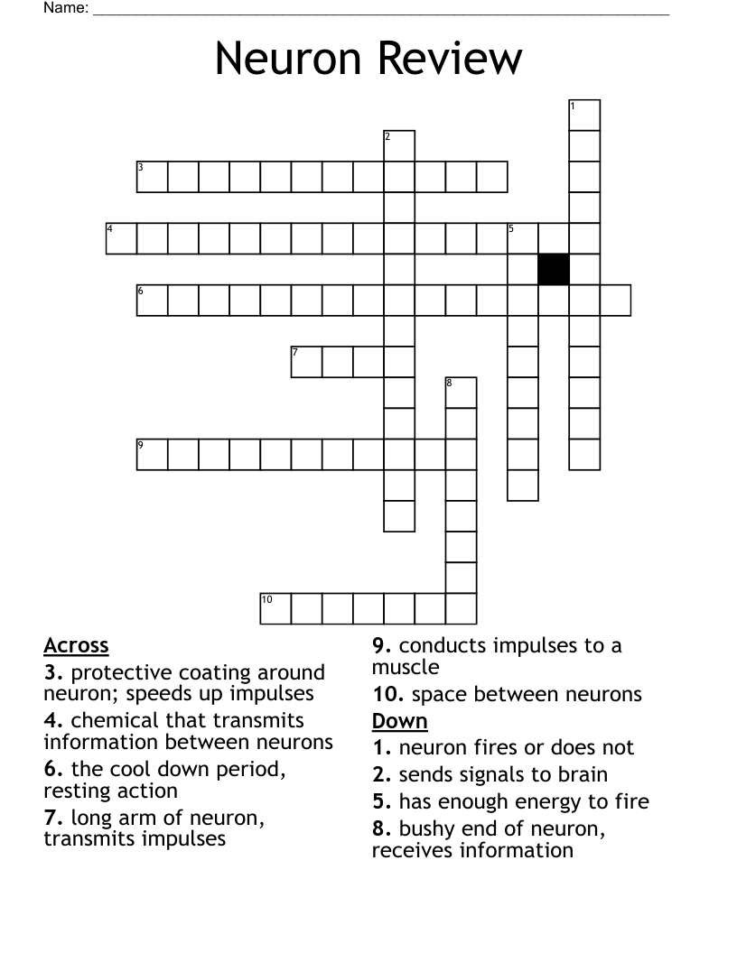 Neuron Review Crossword
