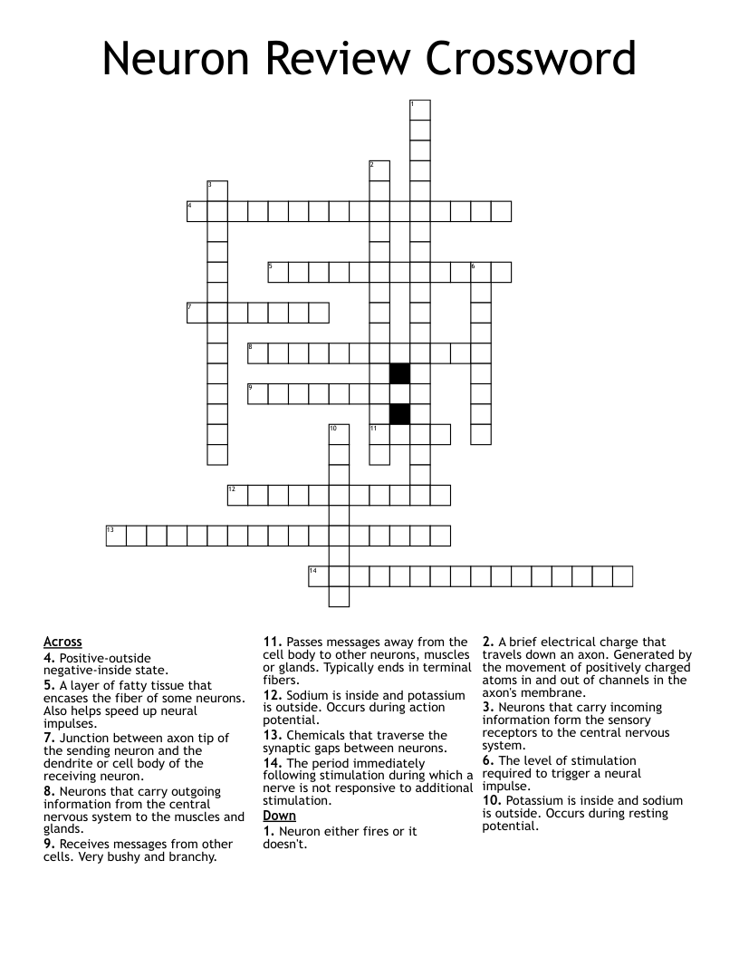 Neuron Review Crossword