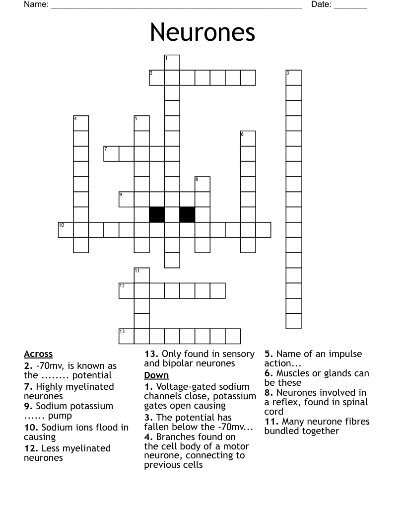 Neurones Crossword