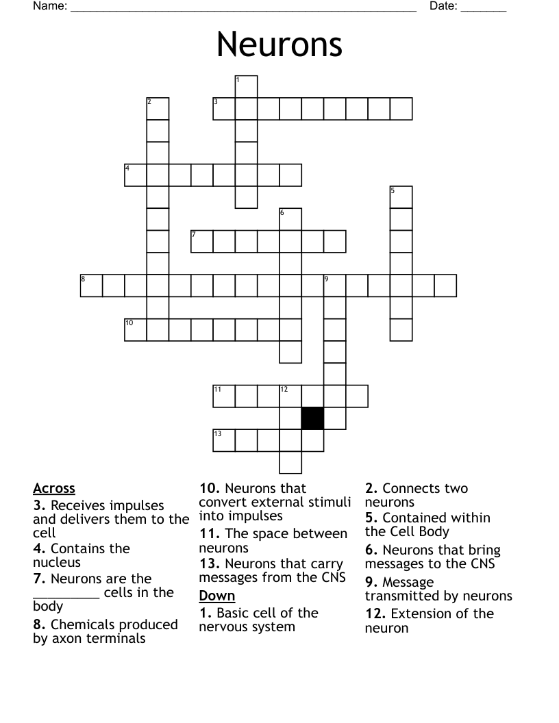 Neurons Crossword