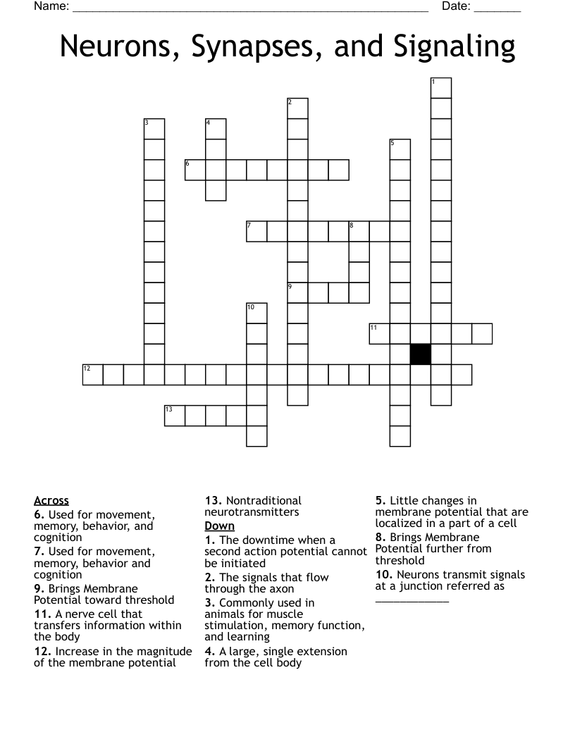 Neurons, Synapses, and Signaling Crossword