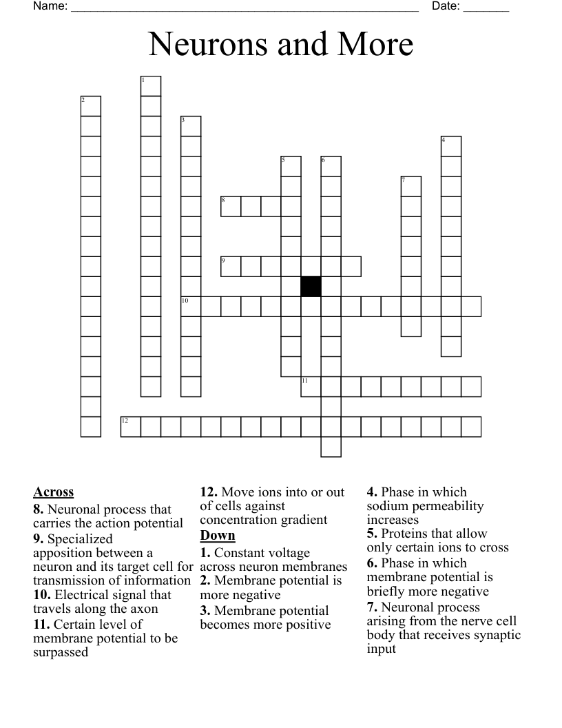 Neurons and More Crossword