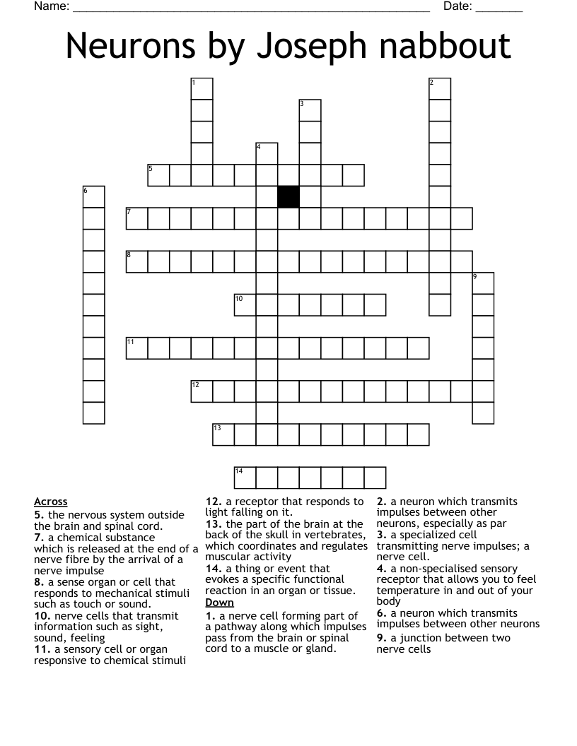 Neurons by Joseph nabbout Crossword