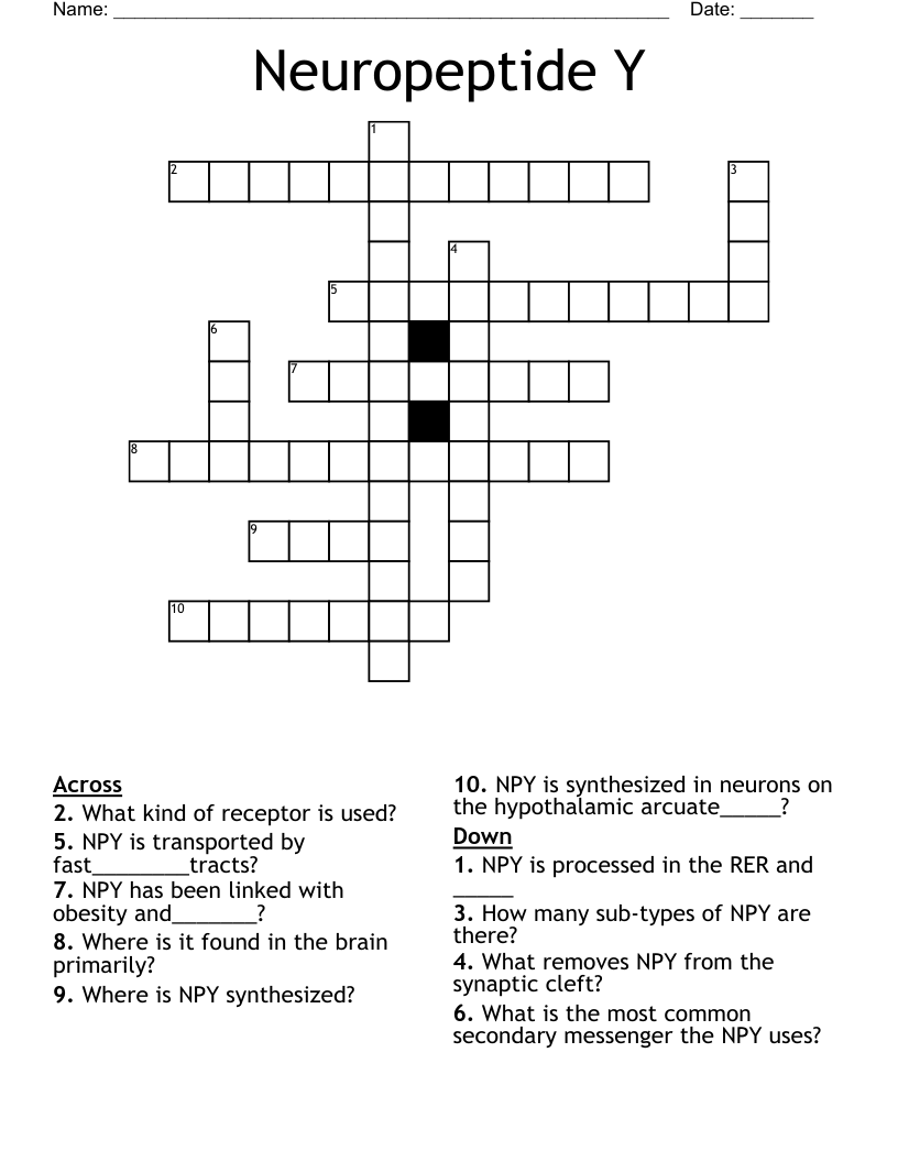 Neuropeptide Y Crossword