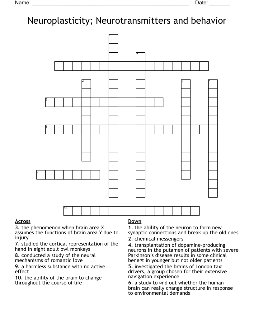 Neuroplasticity; Neurotransmitters and behavior  Crossword