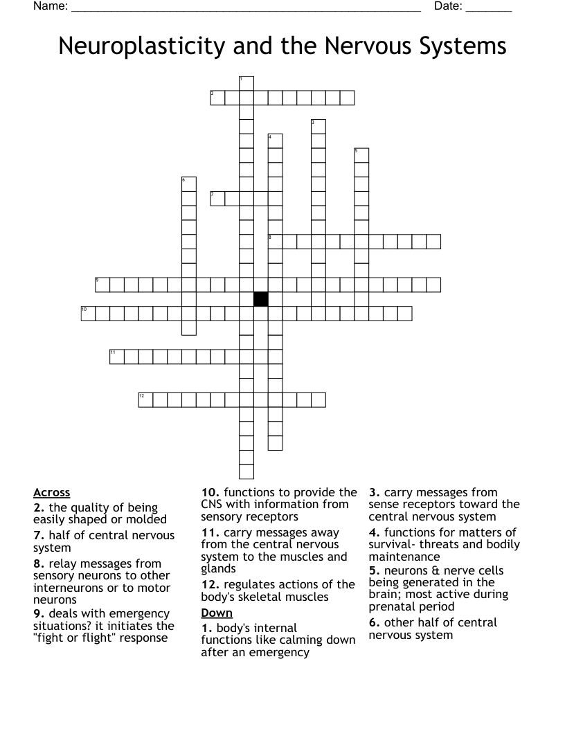 Neuroplasticity and the Nervous Systems Crossword