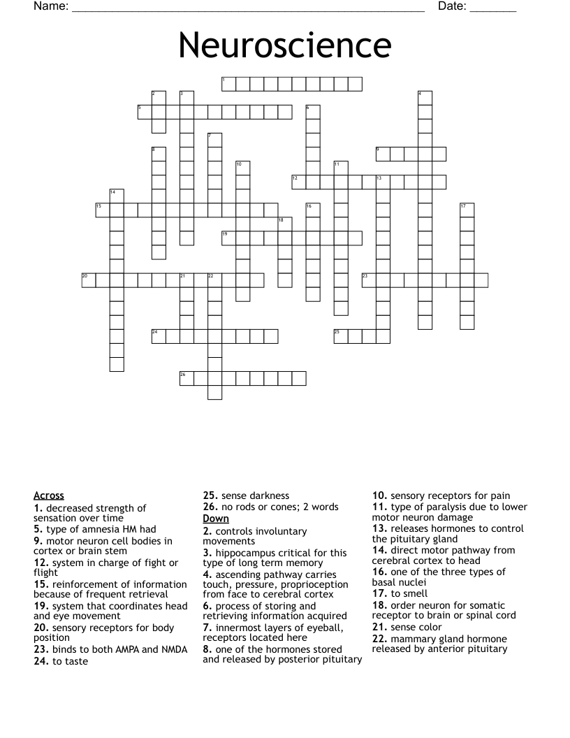 Neuroscience Crossword
