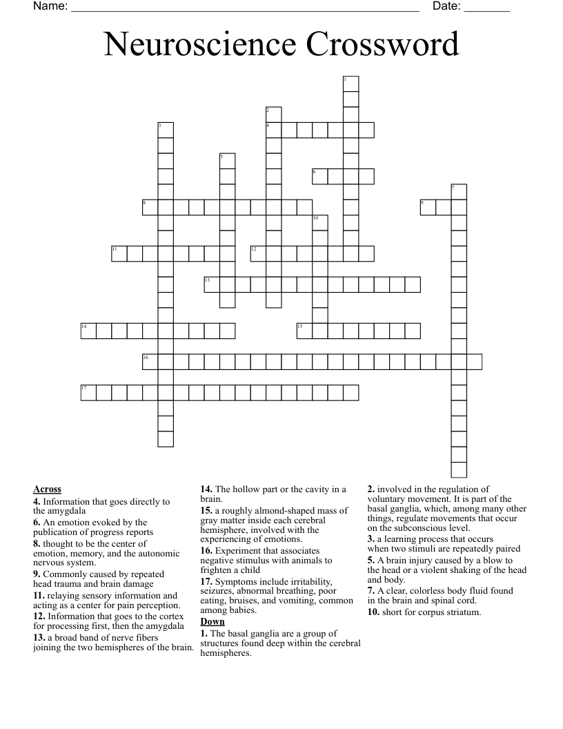 Neuroscience Crossword