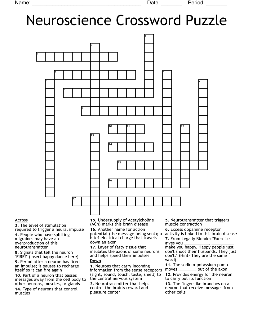 Neuroscience Crossword Puzzle