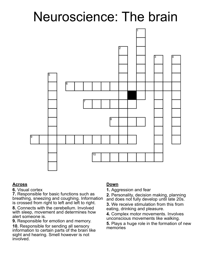 Neuroscience: The brain Crossword